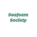 Seafoam Society Sticker — Retro Teal Decal